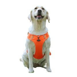 PAGGY OOKI Breathable mesh Dog Harness No Pull and Leash Set Adjustable Pet Harness with Soft Padded Vertical Handle for Lifting Reflective No-Choke Dog Vest 2 Leash Hooks Escape Proof (Orange, XL)