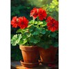 America Forever Red Geranium Pots House Flag, 28 x 40