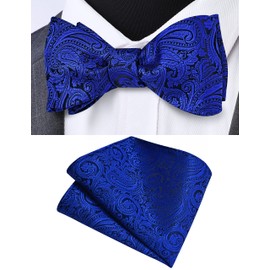 GUSLESON - Juego de pajaritas de cachemira para hombre, diseño de pajarita y pajarita de jacquard con bolsillo cuadrado, Azul Real, general