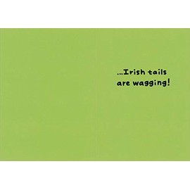 RSVP Irish Setter Closeup Photo : Tongue Sticking Out Funny : Humorous Dog St. Patrick's Day Card
