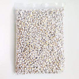 SULIUDAJI 200pcs White Gold Acrylic Flat Round Alphabet Beads for Coins A-Z Letter Spacer Beads for Jewelry Bracelets