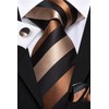 Hi-Tie 3 Pcs Gift Box Mens Tie Set Necktie with