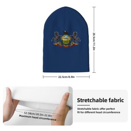 AKMCBSH Pennsylvania Flag Beanie Hat for Men and Women - Soft and Warm USA State Flag Knit Hat Unisex Winter Fall Hat Cuffed Knitted Skull Cap