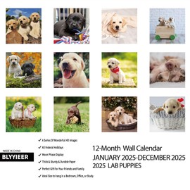 Lab Puppies 2025 Wall Calendar | 12" x 24" Open Hangable Monthly | Thick & Sturdy Paper | Cute Labrador Dog | Family Planner Calendar