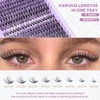 50D+60D Lashes Extension Clusters DIY Wispy Lash Clusters 320Pcs D