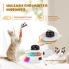 Interactive Cat Toy, Automatic Kitten Toys, Ficuok 5 in 1