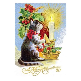 Laughing Elephant brand! Cats At Christmas Greeting cards box set! Brand New!
