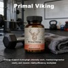 Vitality Supplement – Arctic Herb & Reindeer Organ Blend ，Daily