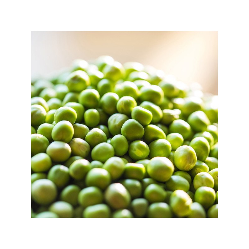 [Chamgoods] Isolated pea protein powder 700g 3 packs / [참굿즈]