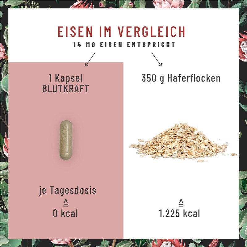 NATURTREU Eisen Komplex mit Vitamin C und Fenchel vegan -