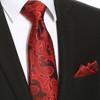KissTies Mens Red Tie And Pocket Square Paisley Necktie