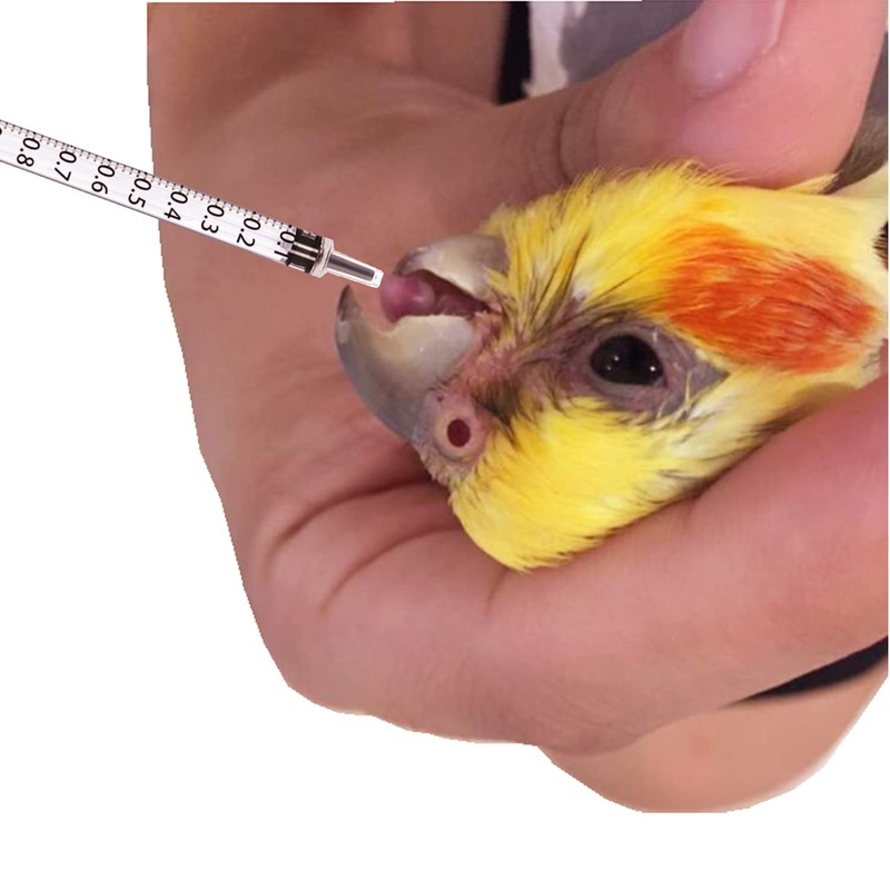 Industrial Hobby Syringes, Pet Feeding, 0.4 fl oz (1 ml)