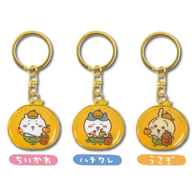 [API] Chiikawa Local Limited Die Cut Key Chain, Shizuoka Limited