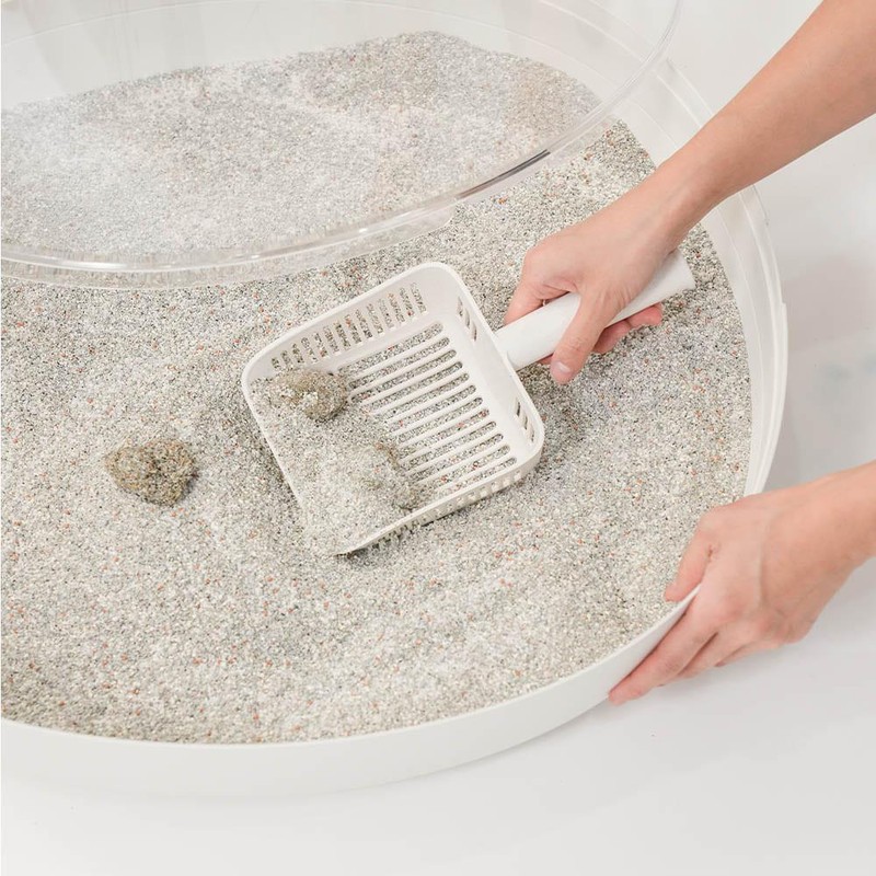 Fitpet, NyangSam, Cat, Litter Box, Transparent Litter Box, Transparent, White