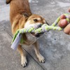 Dewonch Dog Fleece Rope Teaser Toy as Replacement to Chase