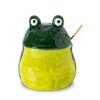 dgudgu Frog Salt Cellar With Lid And Bamboo Spoon Ceramic