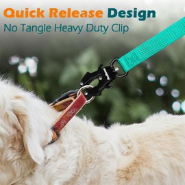 PetBonus Heavy Duty Tactical Dog Leash, 5 FT Bungee Shock Absorption Leash with 2 Padded Handles, Quick Release Metal Clip, Car Seatbelt, No Pull Training Lead for Large Medium Dogs（Turquoise）