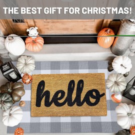 IOHOUZE Buffalo Plaid Checkered Rugs -27.5" X 43" Front Door Mats, Washable Rug for Front Porch Decor, Spring Summer Welcome Mats Outdoor, Gray White Rug for Farmhouse/Entryway/Home Entrance