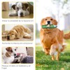 2 Piezas Juguetes para Perro con Forma de Zapato, Juguete
