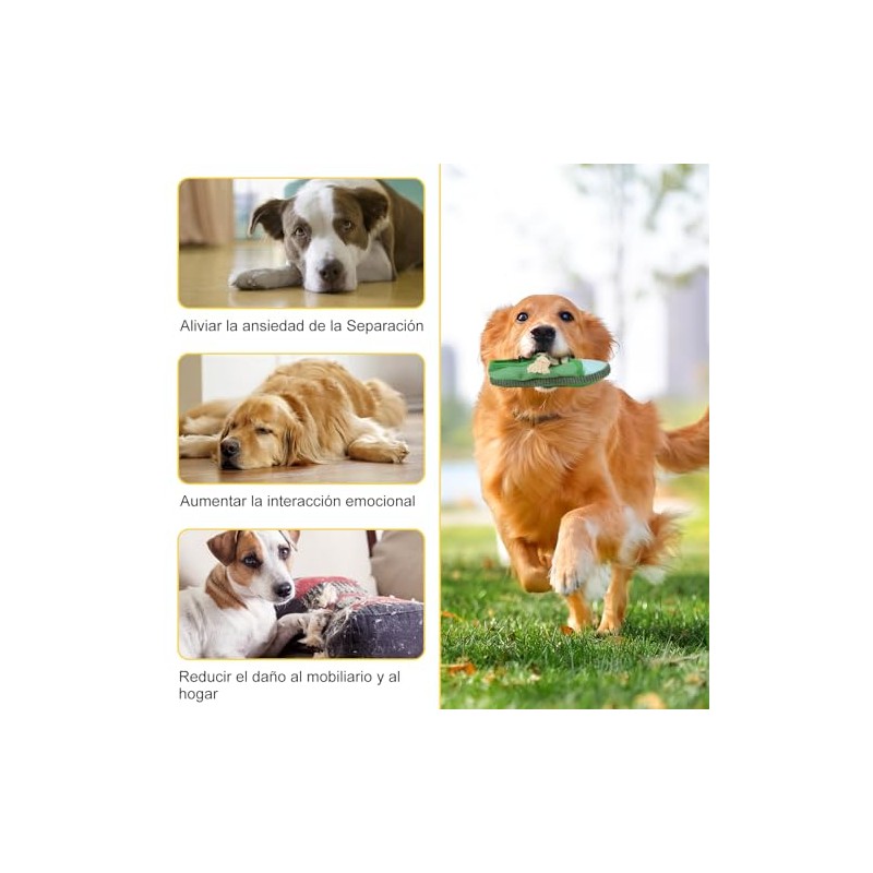 2 Piezas Juguetes para Perro con Forma de Zapato, Juguete