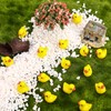 Partideal 100pcs Mini Resin Ducks, Vivid Shape Tiny Ducks, Cute