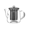 Premier Housewares High Borosilicate Teapot, with Strainer, 650 ml, 12