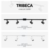 Globe Electric 59738 Tribeca 4-Light 56" Track Lighting Kit, Matte