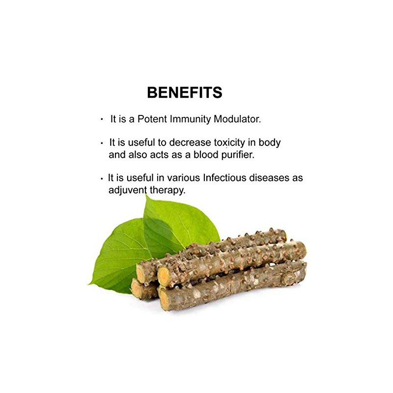 Guduchi Powder (Tinospora Cordifolia/Giloy) 200g (7 oz) | Excellent Immunity