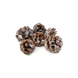 6 Pine Cones - Snowy or Natural - Christmas Wreath & Garland Decoration (Frosty)