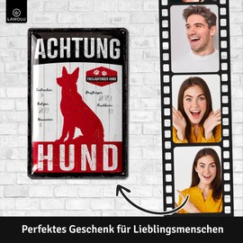 LANOLU Retro Tin Sign Warning of the Dog Signs, Retro Tin Sign Caution Dog Sign, Funny Warning Sign, Dog Warning Sign, Metal Signs with Sayings, 20 x 30 cm