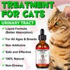 Feline Urinary Tract Health, Cat uti Remedy, Natural Herbal Supplement