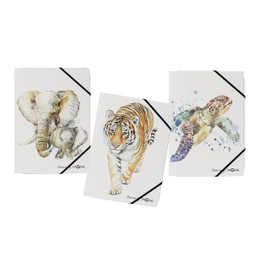 PAGNA Save me No.3 21627-25 Set of 3 Elasticated Folders A4 Assorted