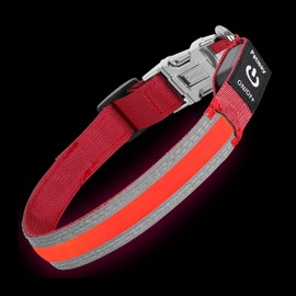 PetIsay Glow-in-The-Dark Dog Collar - Rechargeable IP68 Waterproof LED Collar with Reflective Strips & Metal Buckle Light up Collar for Night Walking, Hiking, Camping (Large, Green)