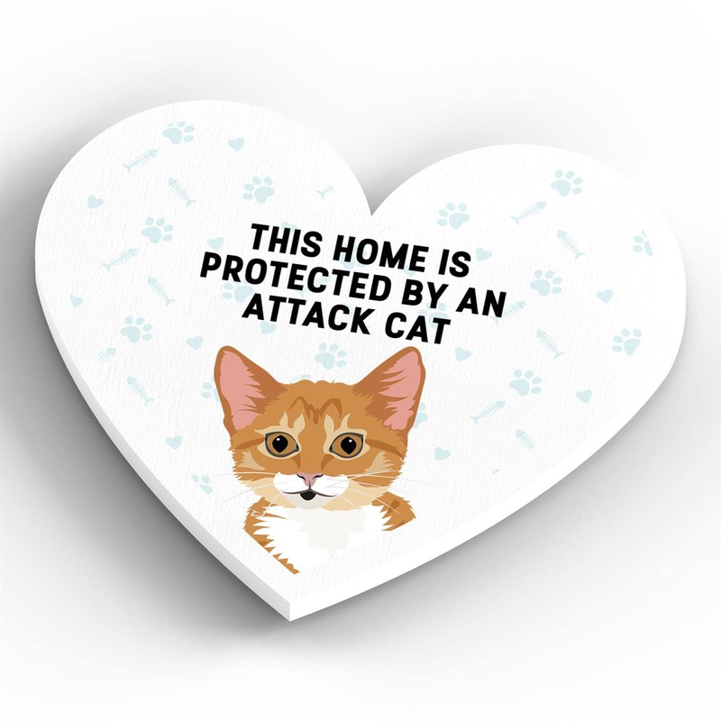 Global Designs Ginger Tabby Kitten Cat Home Protected Attack Cat