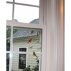 Birds iView Window Clings