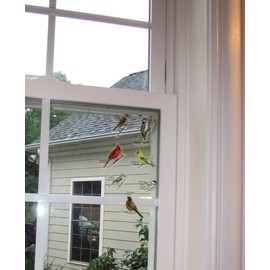 Birds iView Window Clings