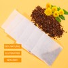 Jarteela - Roasted Dandelion Root Tea Bag, 2g x 50