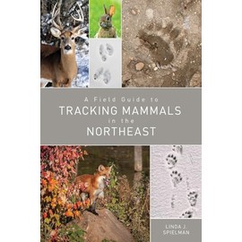 A Field Guide to Tracking Mammals in the Northeast
