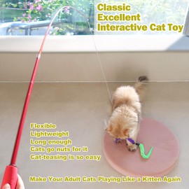 Cat Feather Toy, Retractable Cat Toys Wand 2 Wands & 9 Assorted Teaser Refills, Interactive Feather Teaser Wand Toy Bell Kitten Cat Having Fun Exerciser Playing