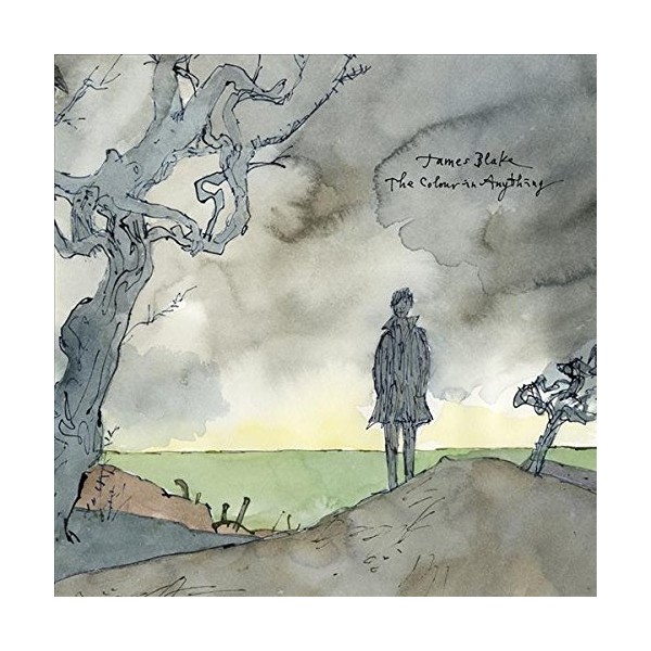 The Colour In Anything [2 LP] by James Blake [Vinyl]