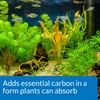 API Co2 Booster Freshwater Aquarium Plant Treatment 16 oz Bottle,