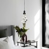 Cunfash Modern LED Pendant Light, Black Spiral LED Pendant Light