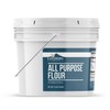 Earthborn Elements All Purpose Flour, Kitchen Staple, Food Storage (80