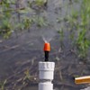DLBX Orange Micro Sprinkler Watering Device with Two Way Connector,