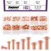 Swpeet 270Pcs M2 M2.5 M3 Half Round Head Copper Solid