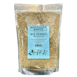 Bulk Rye Berries - Certified 100% Organic - Extra Clean - Great for Mushroom Spawn, Cooking, Brewing & Distilling - Triple Washed, non-GMO and in Resealable Bag - by Mycology Basics (10 lbs)