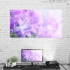 Projector Curtain, Bewinner 60-120 Inch Projection Screen 169 Easy Installation