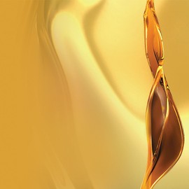 L'Oreal Paris Hair Expertise