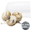 BESPORTBLE Box Reptile Hatching Incubation Box Durable Breeding Container for