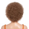 10 Inch Women's Short Afro Kinky Curly Hair Black Wigs